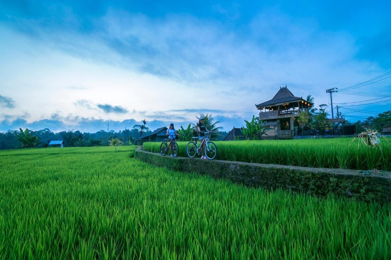 Hôtel Umah Hoshi By Mahaputra à Tegallalang  Extérieur photo